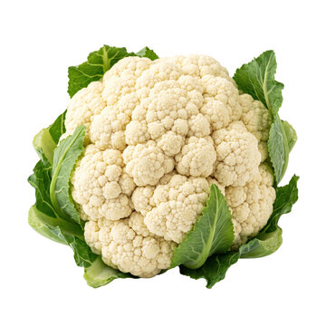 Fresh cauliflower with green leaves isolated on a transparent background