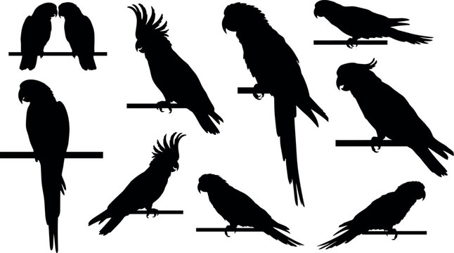Tropical parrot silhouette vector set featuring exotic birds cockatoos and macaws perched on branches isolated on white background