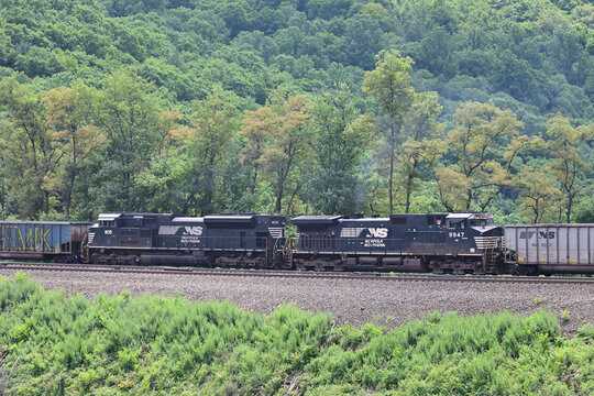 A pair of Norfolk Southern Railway locomotives, cut in mid-train as distributed power units, assist an empty coal train westbound upgrade around Horseshoe Curve in western Pennsylvania.