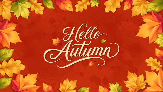 Hello Autumn Background, set of abstract backgrounds with leave frame, autumn sale, banner, posters, cover design templates, social media wallpaper stories