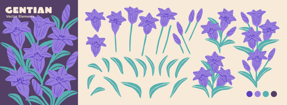 Editable Gentian Flower Part Set