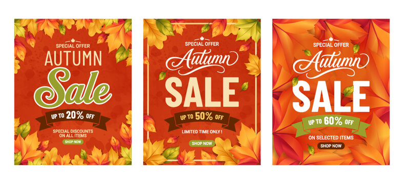 Autumn Sale Promotional Flyer Template with Fall Leaves for Seasonal Discount