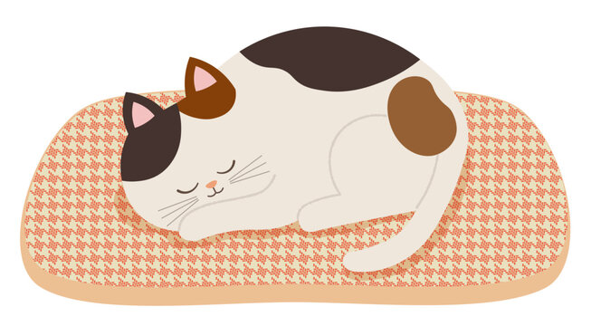 眠る猫