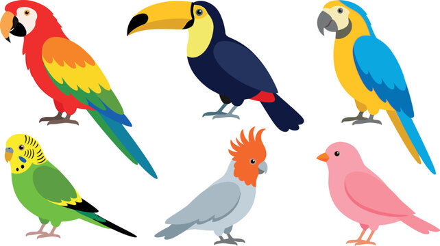 Tropical birds vector cartoon icon set with colorful macaw parrot toucan budgerigar cockatoo and pink canary isolated elements
