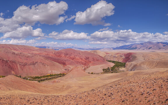 Dry Mongolian landscapes of the south of Altai