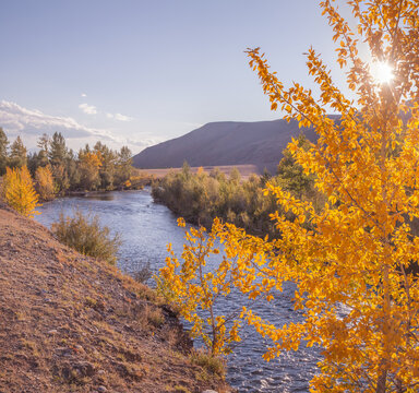 Mountain river in golden autumn, indian summer, forested