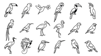 Naklejka premium Black and White Line Art Birds Set. Avian Wildlife Collection. Hand Drawn Nature Icon Doodles and Sketches.