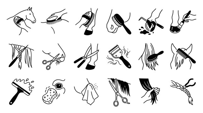 Equestrian Horse Grooming Icons Set - Black  White Line Art Glyphs for Animal Care and Stable Management