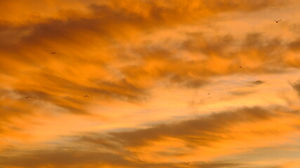 Fototapeta premium sunset in the sky,cloud, nature, red, orange, light, beauty, summer, weather, yellow, color, Canada, Alberta