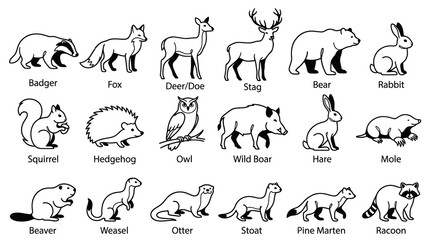 Fototapeta premium Black and White Line Art Animals: Forest Fauna Illustration for Wildlife Education