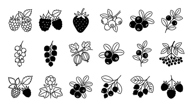Food  Nature Black and White Line Art Berries Icons Set. Outline Glyph Collection of Wild Fruits.