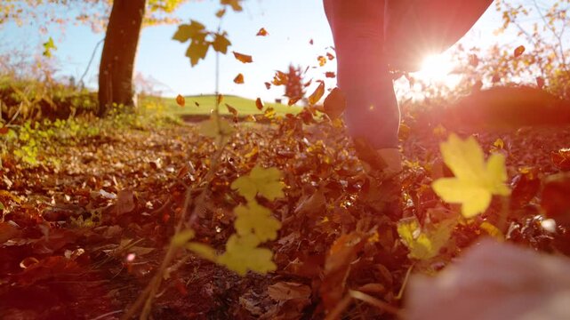CLOSE UP, DOF, LOW ANGLE, SLOW MOTION, LENS FLARE: Woman running along forest path as dry autumn leaves fly through the air. Morning jog in the embrace of golden light and peaceful countryside in fall