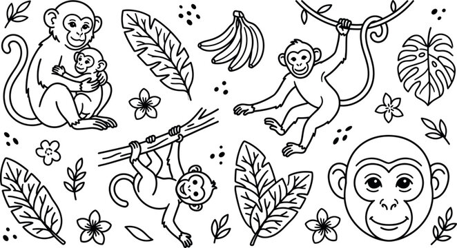Cute tropical jungle monkey vector icon set with mother and baby chimp banana bunch vine leaves plumeria flowers