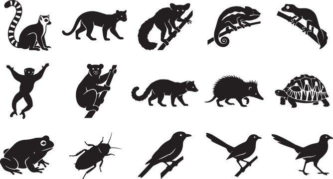 Set of black silhouettes of madagascar endemic fauna, including lemurs, fossa, chameleon, gecko, tenrec, tortoise, frog, insect, and birds