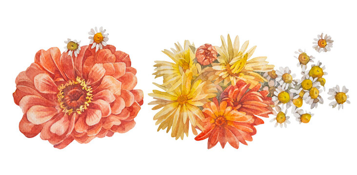 Watercolor set with bouquet yellow chamomile and gerbera isolated on white background. Autumn summer bloom flower chrysanthemum or daisy. Clipart for wedding invite. Wallpaper or wrapping and textile