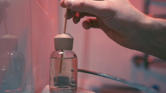 Hand Placing Reed Diffuser Bottle on Bathroom Shelf | Home Fragrance Setup with Wooden Sticks | Cozy Interior Lifestyle Close-Up