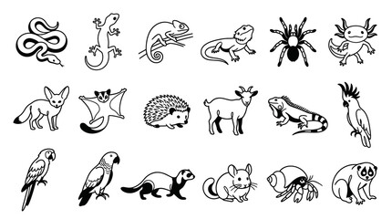 Fototapeta premium Black and White Line Art Collection of Exotic Pets and Animals