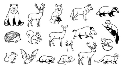 Fototapeta premium Black and White Line Art of Various Woodland Animals for Design