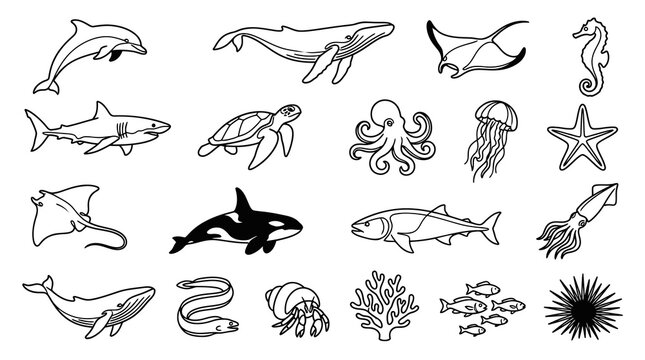 Ocean Sea Life Vector Icons: Black and White Line Art for Marine Collection