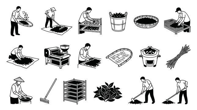 Tea Production Process Black and White Line Art Icons Set. Agriculture, Farming, Traditional Tea Making.