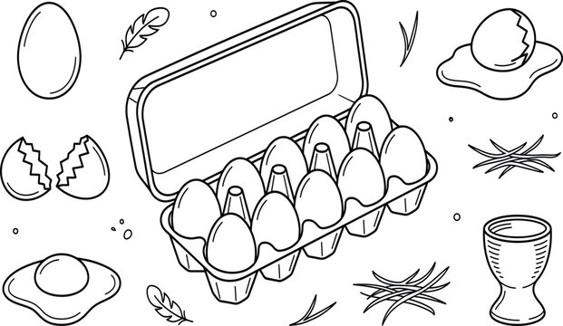 Fresh chicken eggs set with full carton box cracked shell fried egg nest cup feather line art vector illustration coloring page