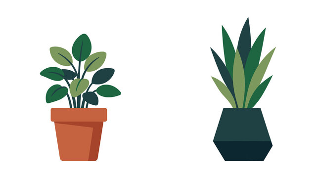 Two potted houseplants illustration with different green leaves and flower pots isolated on transparent background