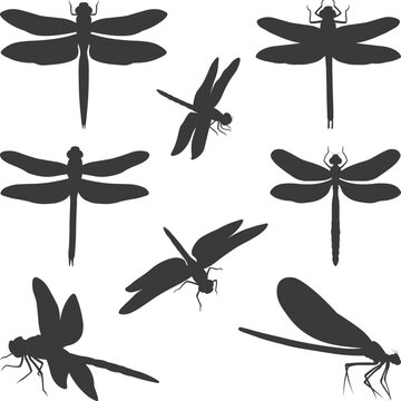 Dragonfly Icon Set silhouette, Black dragonfly silhouette Collection isolated svg on white background for graphic design