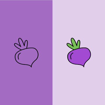 Purple beetroot or turnip vegetable icon in flat design and line art style vector illustration