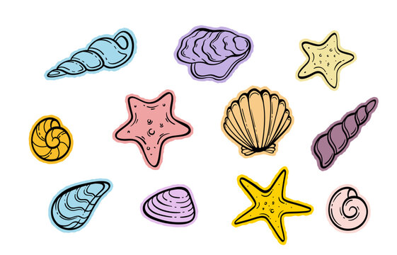 Colorful beach shells starfish hand drawn vector illustration