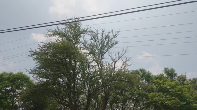 cielo, cable, azul, electricidad, energ&iacute;a, conductos, alambrada, garrocha, nube, naturaleza, electricas, ave, alto, torre, campa, cielo, arbustos, clabes