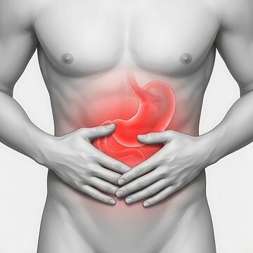 Illustration of a human torso with a highlighted stomach area indicating abdominal pain, digestive issues, or gastrointestinal discomfort, isolated on white background