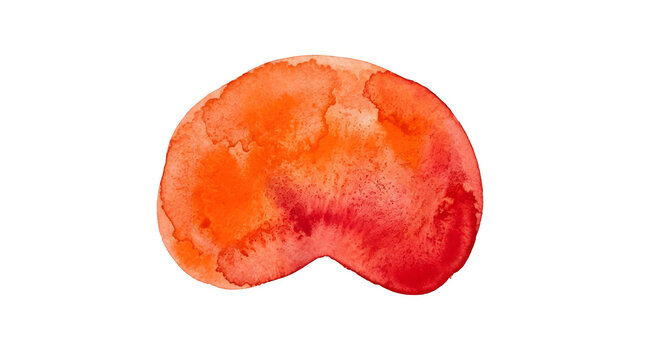 Watercolor painting of an orange and red kidney bean shape isolated on white background