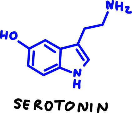 Hand-drawn chemical structural formula of Serotonin molecule vector icon isolated white background. Handwritten hormone happiness text artwork.