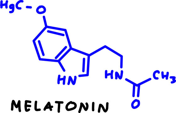 Hand-drawn chemical structural formula of Melatonin hormone molecule vector icon isolated on white background. Handwritten sleep hormone text artwork.