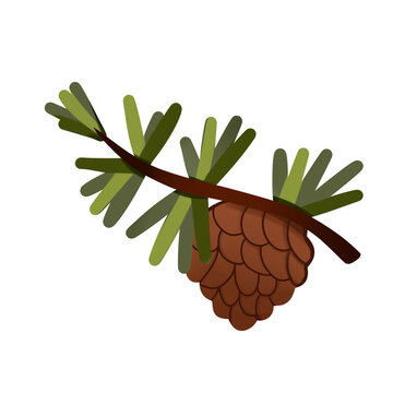 pine cone and leaves