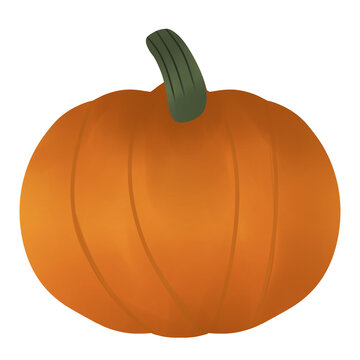 pumpkin isolated on white background
