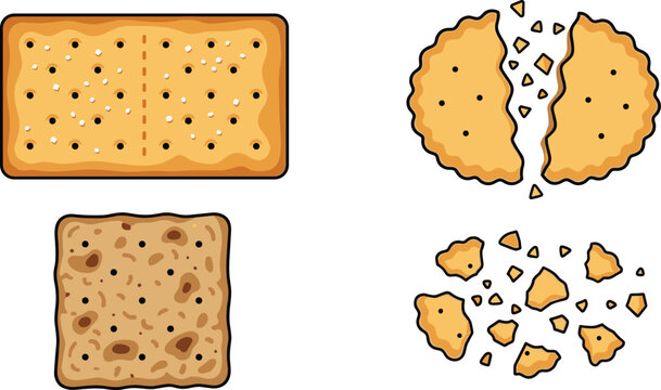 Crispy Salty Crackers and Wheat Biscuits Vector Set Featuring Whole Rectangular Square Round Broken Cookies with Flying Crumbs for Food Product Packaging