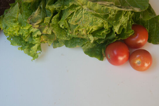 close-up of tomato and lettuce  .    Vegetables on a white background,
