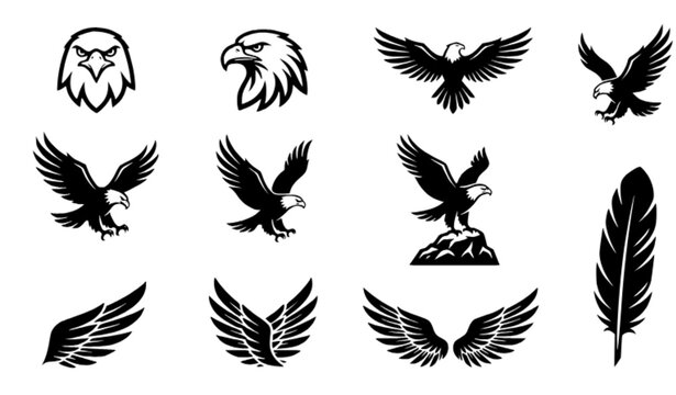 Bold Eagle Silhouette Collection with Wings, Feathers and Talons
