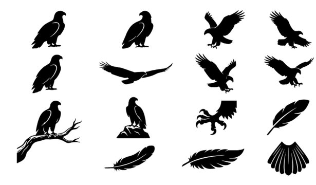 Powerful Eagle Vector Silhouettes for Wildlife and Freedom Designs