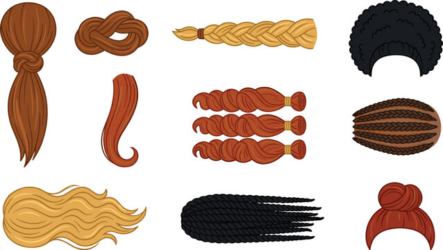Diverse hairstyles and textured hair extensions vector illustration set featuring braids ponytail afro cornrows top knot bun and wavy locks isolated on white background
