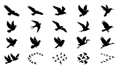 Naklejka premium Wild Bird Flight Silhouette Black White Symbol Set