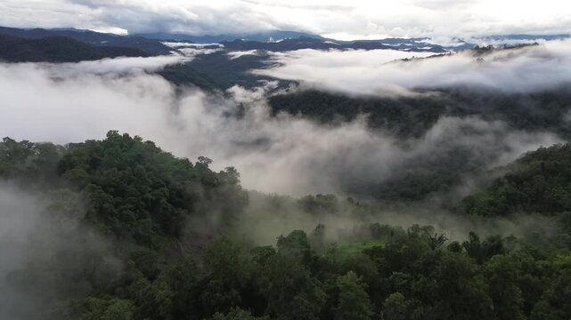 Mountain Landscape Covered by Dense Fog, Mist and Low Cloud Above Forest Valley, Distant Rugged Ridge and Tropical Wilderness Creating Dramatic Serene Panorama with Lush Green Vegetation