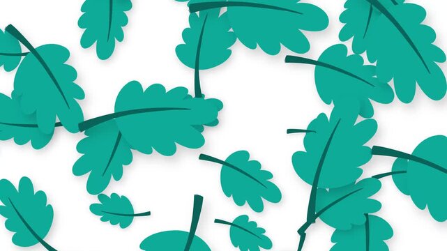Stylized Teal Oak Leaves Falling on a Clean White Background
