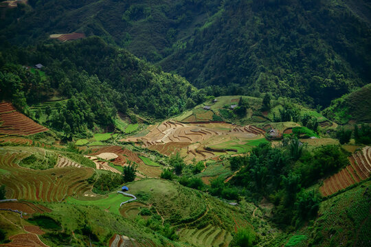 Stunning aerial view of vibrant green rice terraces in Sapa, Vietnam. A world-famous landmark featuring breathtaking natural landscapes and traditional agricultural beauty. 