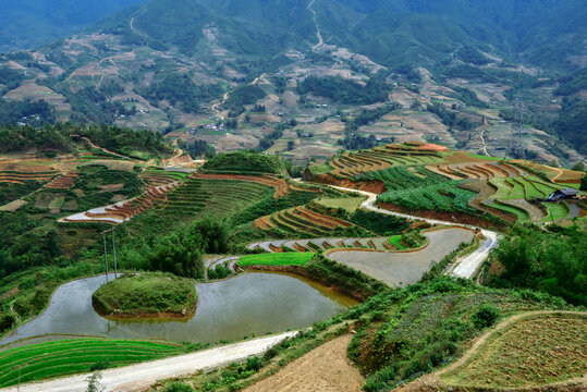 Stunning aerial view of vibrant green rice terraces in Sapa, Vietnam. A world-famous landmark featuring breathtaking natural landscapes and traditional agricultural beauty. 