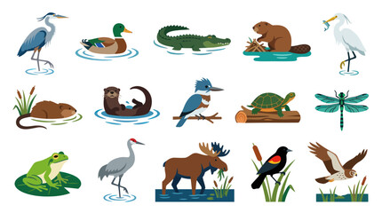 Obraz premium Diverse North American Wetland and Forest Animals Flat Vector Icon Collection for Nature Education