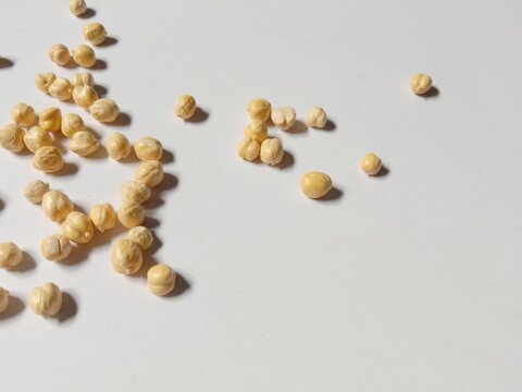 Dried Chickpeas Scattered on White Background with Natural Shadows
