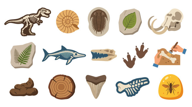 Paleontology and Archaeology Flat Illustration Vector Icon Set with Fossils, Skeletons, and Prehistoric Finds