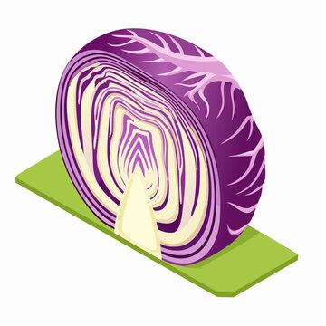 Red cabbage cross section on green surface
